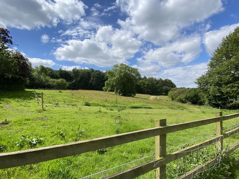 Paddock land- click for photo gallery